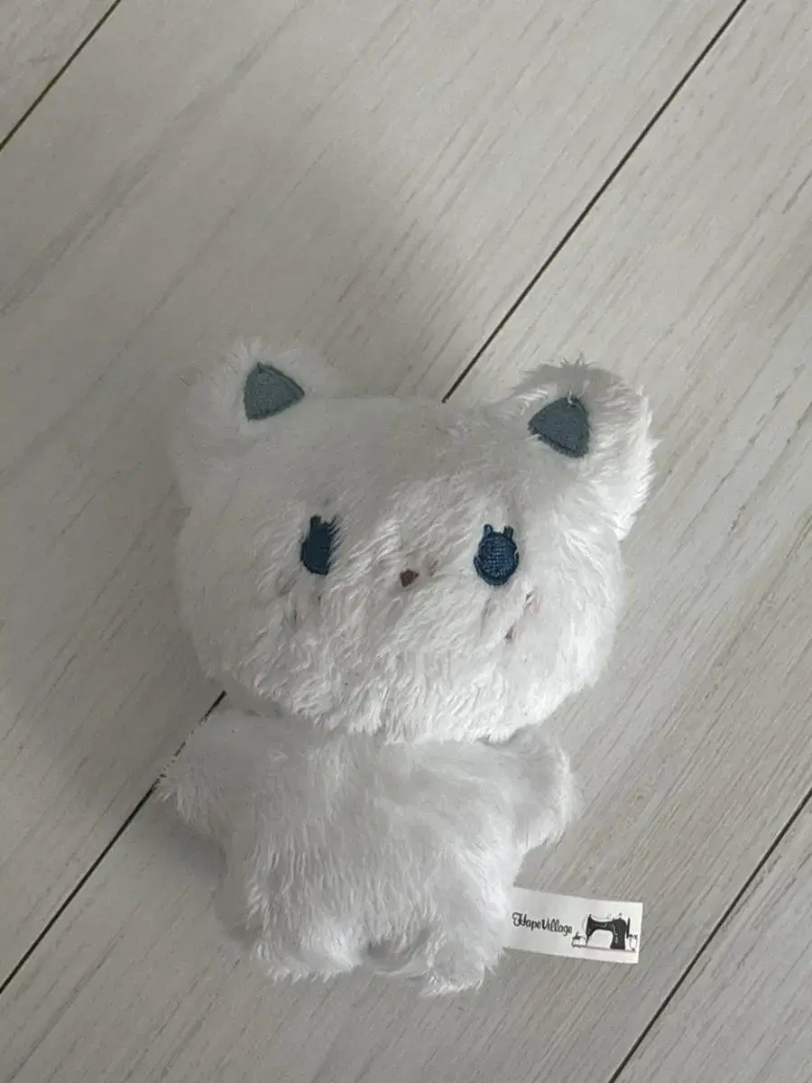 뽁냥이 뽁덩이 양도